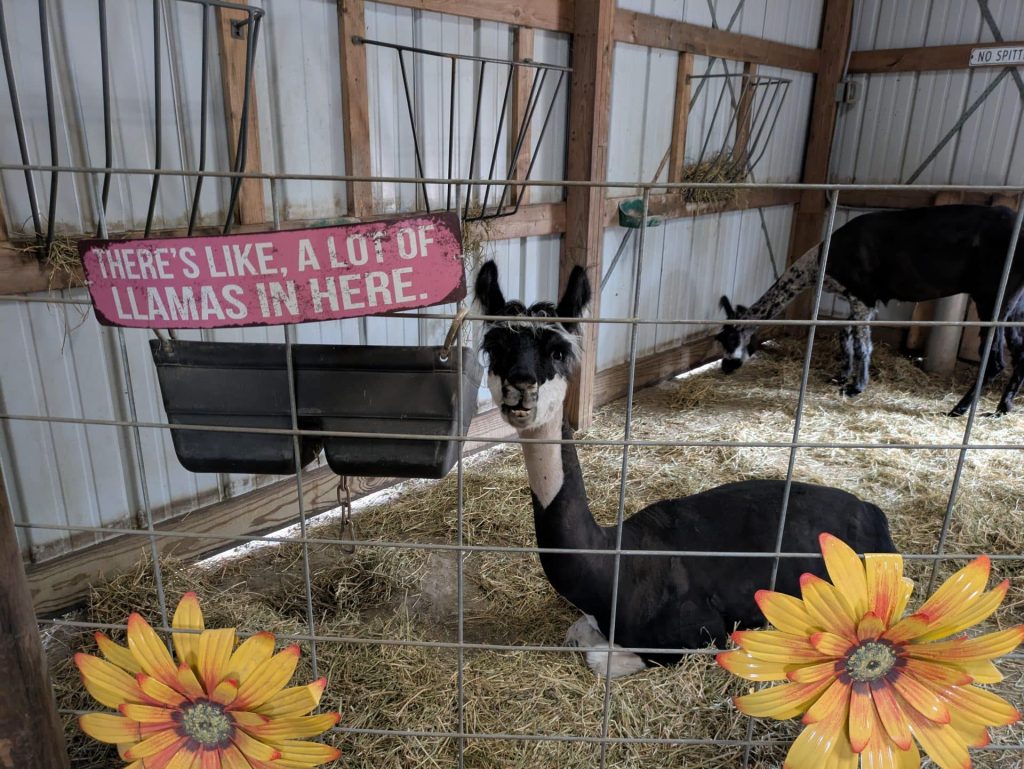 Prairie Patch Farm