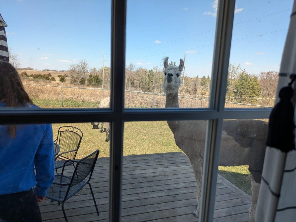 Prairie Patch Farm