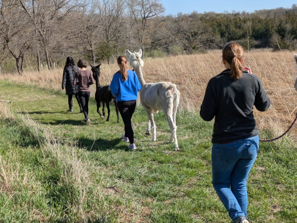 Prairie Patch Farm