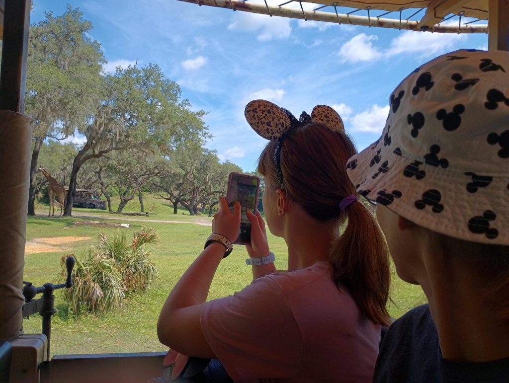 STL to Disney 3