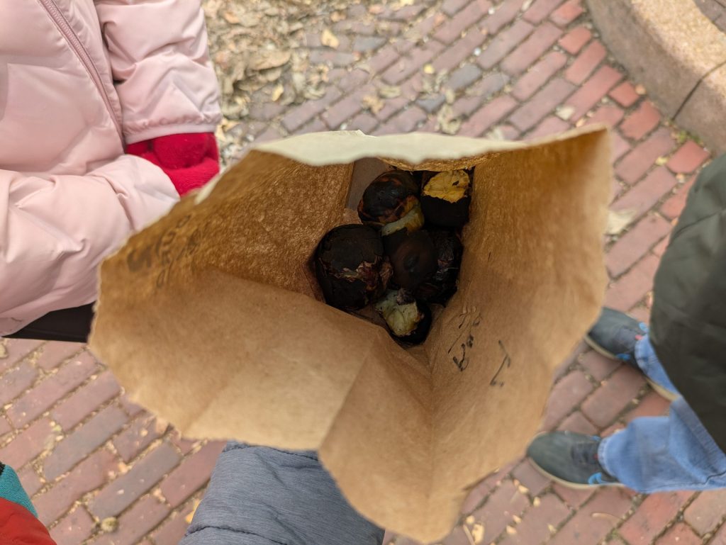 Christmas Traditions 5 - Roasted Chestnuts in a Bag