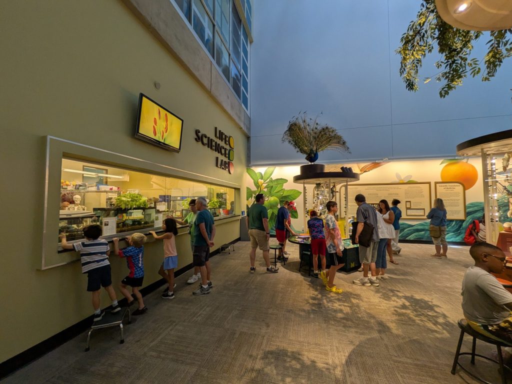 Saint Louis Science Center - Life Science Lab 2
