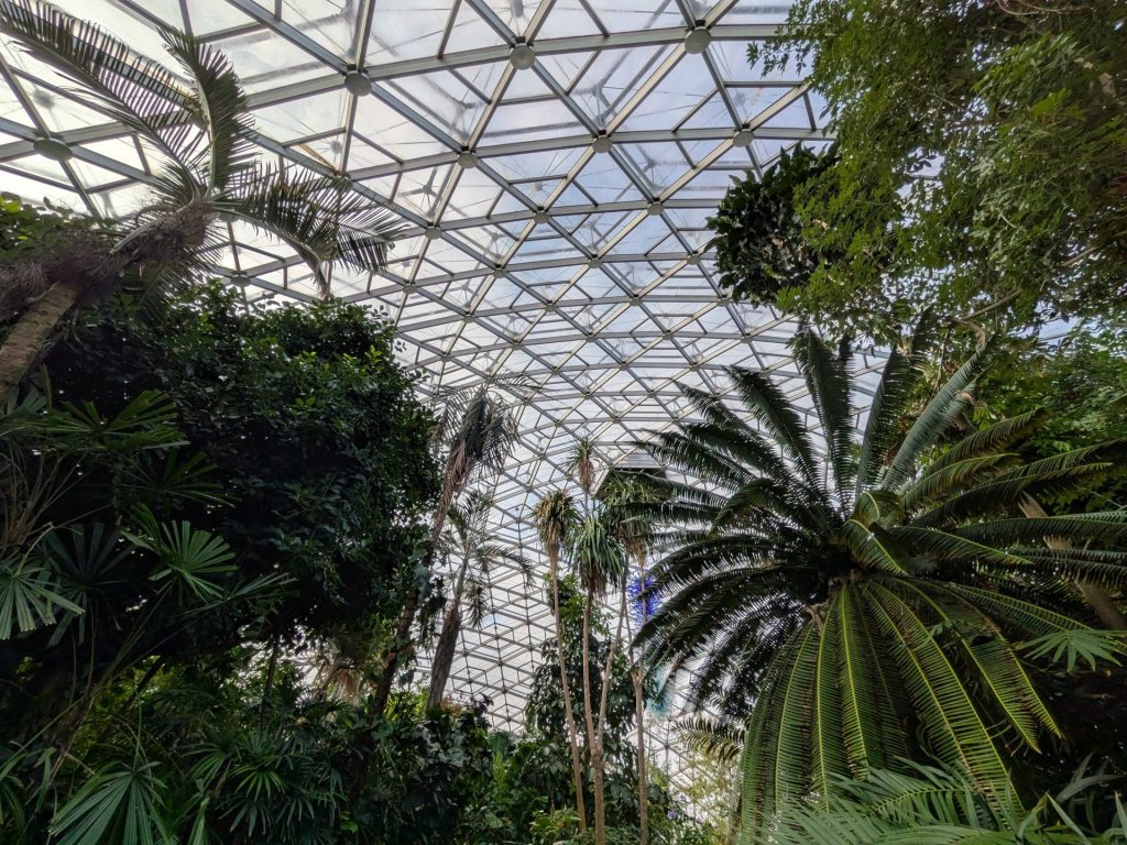 Missouri Botanical Garden 4 - Climatron Interior