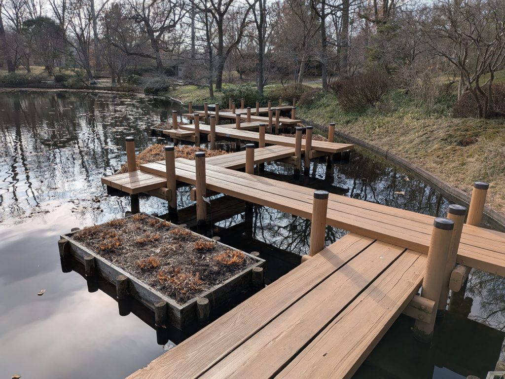 Missouri Botanical Garden 8 - Japanese Garden