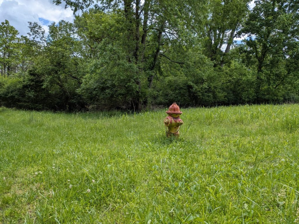 Route 66 State Park 9 - fire hydrant