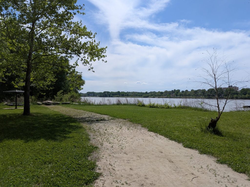 Riverwoods shoreline